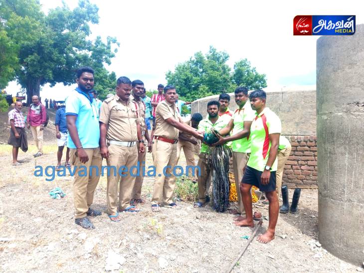 25 அடி ஆழமுள்ள கிணற்றில் விழுந்து  தத்தளித்து உயிருக்கு போராடிய ஆண் மயிலை தீயணைப்பு துறையினர் உயிருடன் மீட்டனர்!  