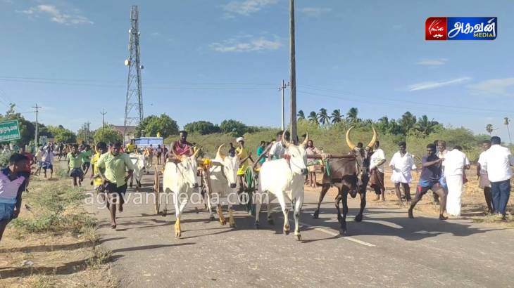  கீழமுடிமன் கிராமத்தில் சீறிப்பாய்ந்து சென்ற காளைகள்!