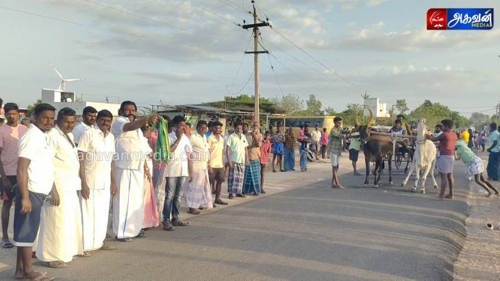குலசேகரநல்லூர் கிராமத்தில் ஸ்ரீ சுடலை மாடசாமி கோவில் கொடை விழாவை முன்னிட்டு மாட்டு வண்டி பந்தயம்!