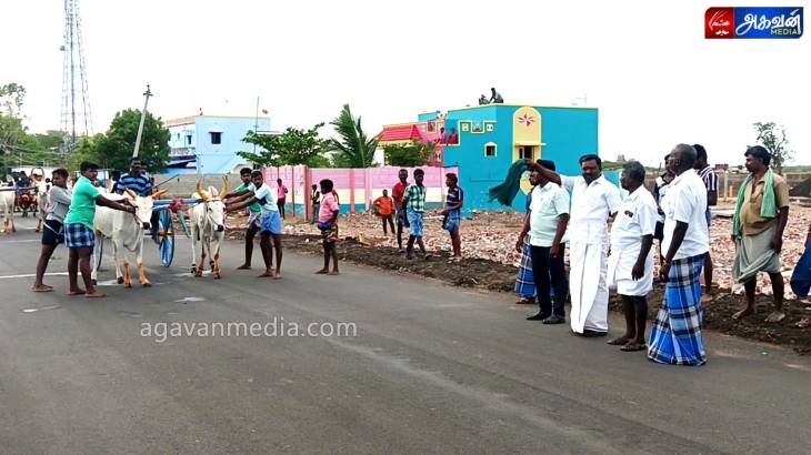 தனது திருமணத்திற்கு மாட்டுவண்டி  பந்தயம் வைத்து அசத்திய பந்தய வீரர் : 3-ம் பரிசை வென்ற புதுமாப்பிள்ளை!