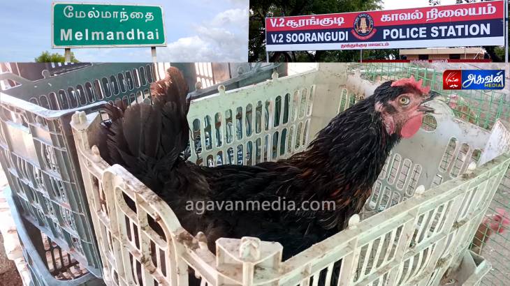 கோழி திருடர்களை கூட கண்டுபிடிக்க முடியாத விளாத்திகுளம் உட்கோட்ட காவல்துறை ?