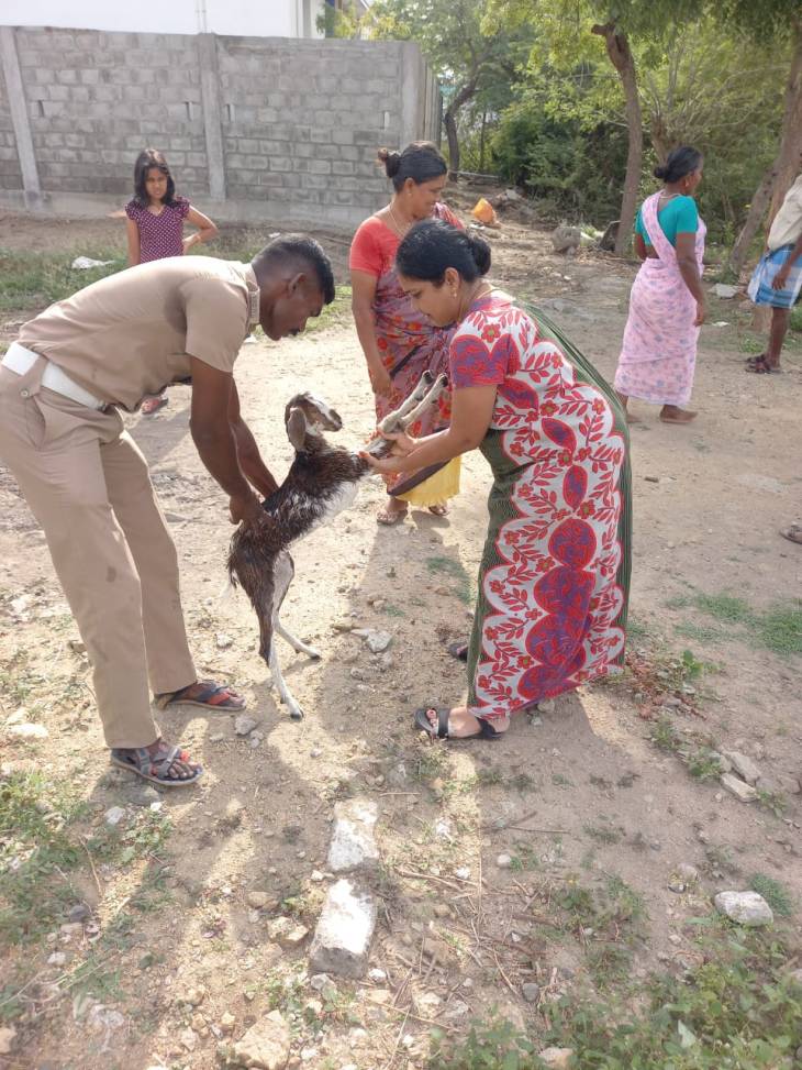   கிணற்றில்  விழுந்து உயிருக்கு போராடிக் கொண்டிருந்த ஆட்டுக்குட்டியை காப்பாற்றிய தீயணைப்புத் துறையினர்!  