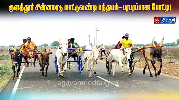 உற்சவ விழாவை முன்னிட்டு மாபெரும் மாட்டு வண்டி பந்தயம் - சிரிப்பாய்ந்தா 66 ஜோடி மாடுகள்! 