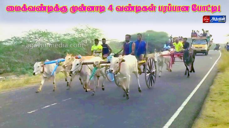 மைக் வண்டி முன்பாக சீறி பாய்ந்த 4 ஜோடி மாடுகள்!