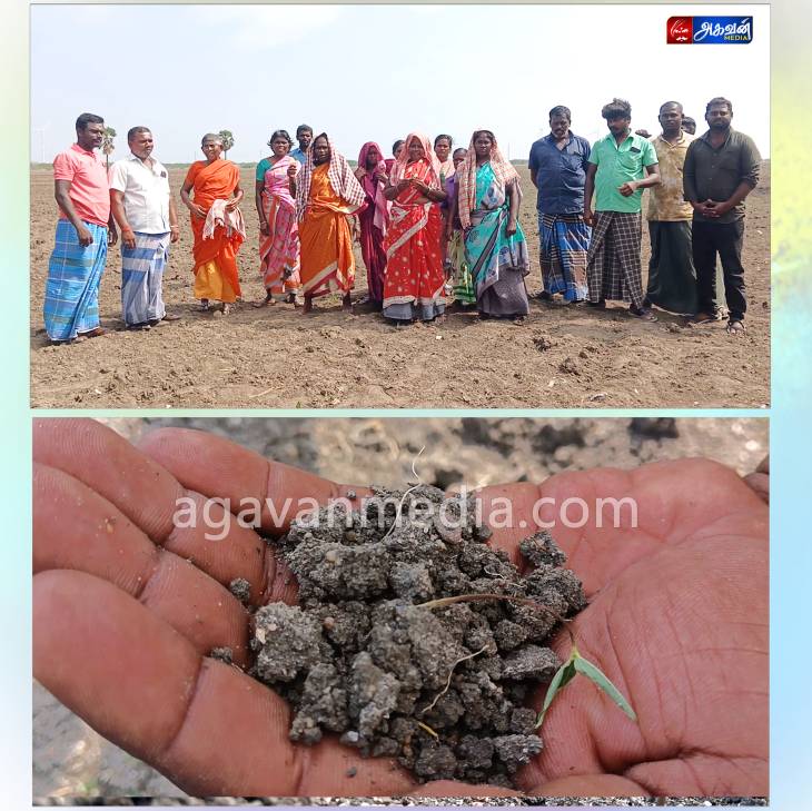 மழை பொய்த்துப் போனதால்  500 ஏக்கருக்கு மேல் விவசாயம் பாதிப்பு விவசாயிகள் வேதனை : தமிழக அரசு நிவாரணம் வழங்க கோரிக்கை.