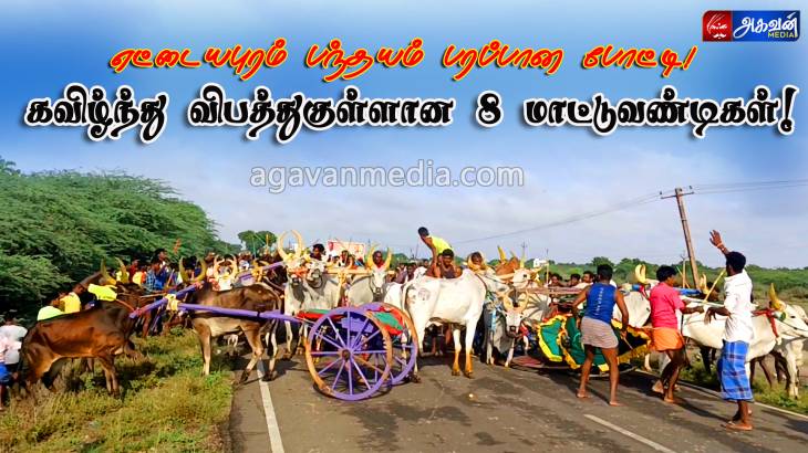  மாட்டு வண்டி போட்டியில் விபத்து : ஒன்றோடு ஒன்று மோதியதில் மாடுகள் உட்பட ஏராளமானோர் படுகாயம்.