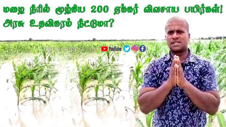 மழை நீரில் மூழ்கிய 200 ஏக்கர் விவசாய பயிர்கள்! அரசு உதவிக்கரம் நீட்டமா?
