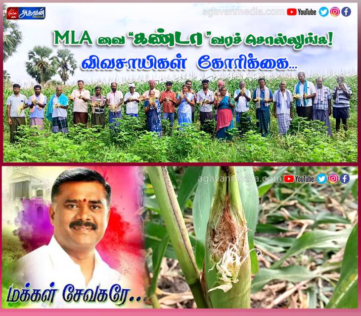 "MLA" வை காணவில்லை! என  விவசாயிகள் குற்றச்சாட்டு...!