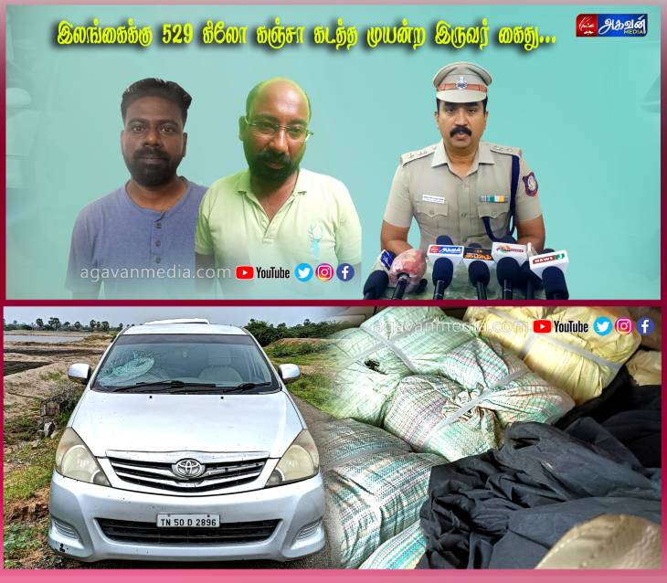 529 கிலோ கஞ்சா கடத்தல் தொடர்பாக  இருவர் கைது1