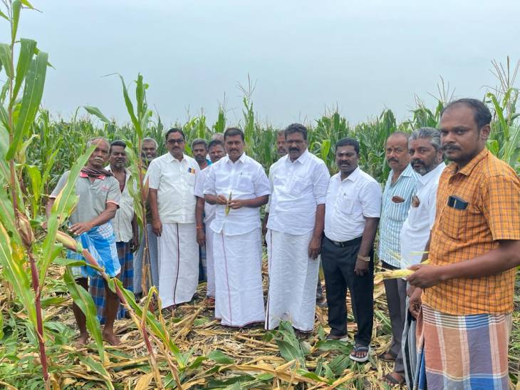 படைப்புழுக்களால் பாதிக்கப்பட்ட மக்காச்சோள பயிர்களை எம்எல்ஏ மார்க்கண்டேயன் ஆய்வு செய்தார்.