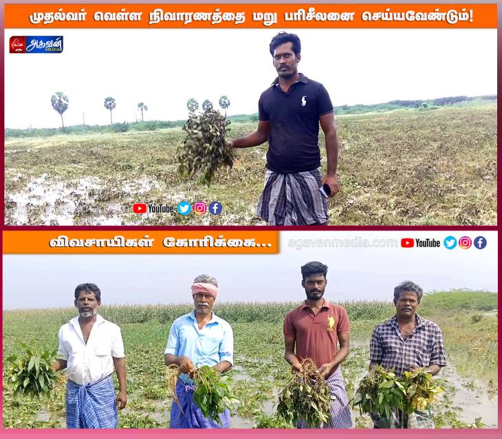 மானாவாரி பயிர்களுக்கு ஏக்கருக்கு ரூ.25 ஆயிரம் நிவாரணம் வழங்க விவசாயிகள் கோரிக்கை!