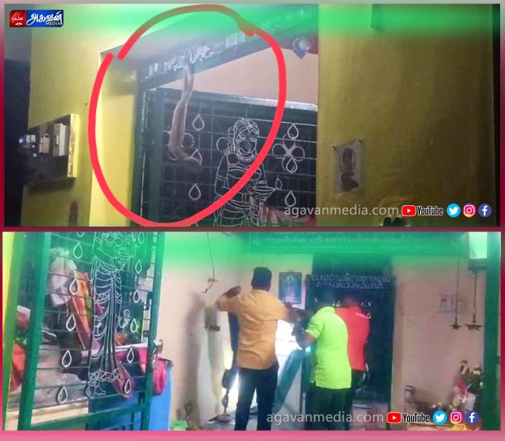 கோவிலுக்குள் புகுந்த 6அடி நீளம் கொண்ட  நல்ல பாம்பை லாபகரமாக பிடித்த வனத்துறையினர்!