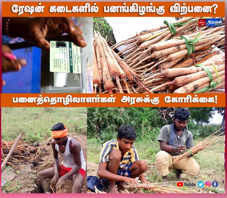 நியாய விலை கடைகளில் பனங்கிழங்கு விற்பனை செய்ய வேண்டும் - பனைத்தொழிலாளர்கள் கோரிக்கை!