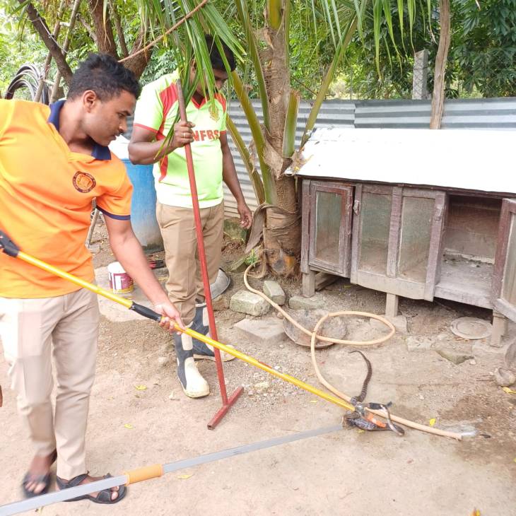 5 அடி நீளம் கொண்ட நல்ல பாம்பை பிடித்த தீயணைப்பு துறையினர்!