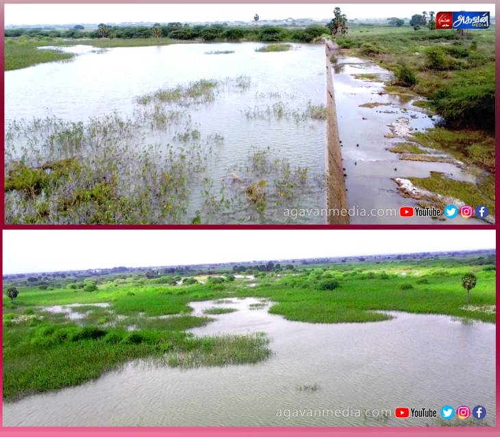  " இன்னைக்கு விழுமோ நாளைக்கு விழுமோ " என்ற நிலையில் உள்ள தடுப்பணை:பொதுப்பணித்துறை கண்மாயை தூர்வார விவசாயிகள்  கோரிக்கை!