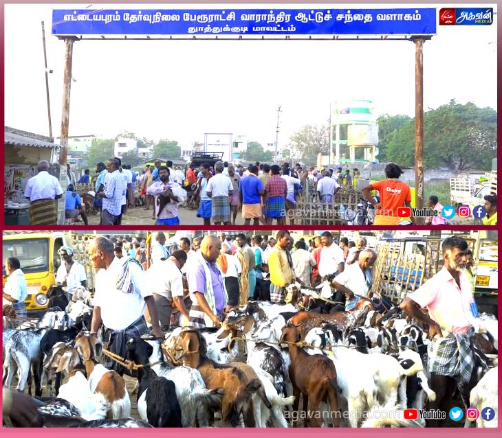 ரம்ஜான் பண்டிகை ஆடு விற்பனைகள் குறைந்து காணப்பட்டது!