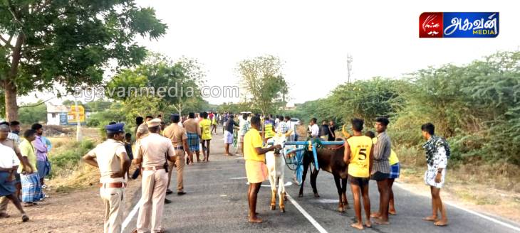 மாபெரும் மாட்டுவண்டி எல்கை பந்தயம் நடைபெற்றது.