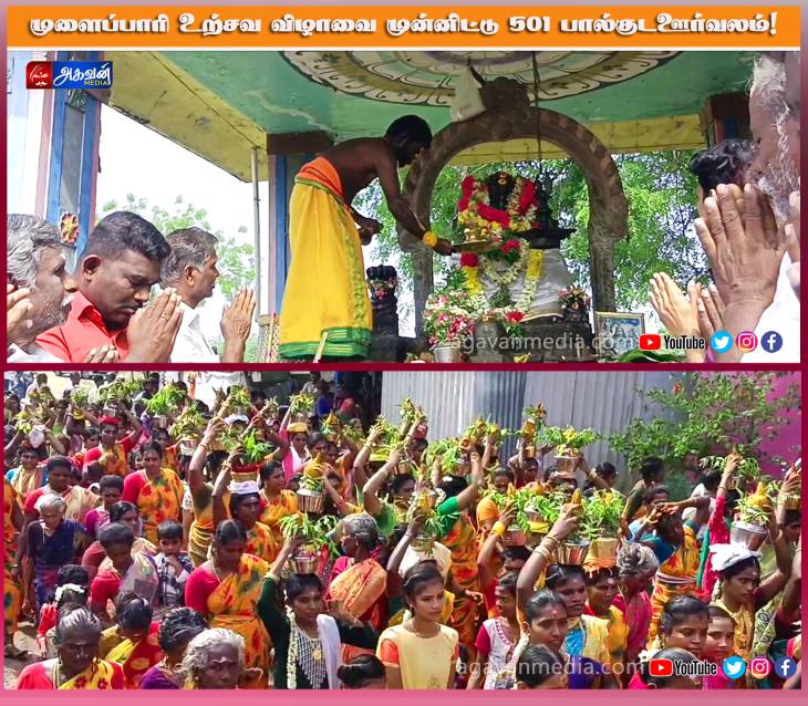 முளைப்பாரி உற்சவ விழாவை முன்னிட்டு 501 பால்குட ஊர்வலம்!