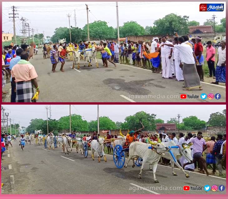 முதல் ஆண்டிலேயே மாபெரும் மாட்டு வண்டி பந்தயத்தை நடத்திய நாகலாபுரம் கிராம மக்கள்!