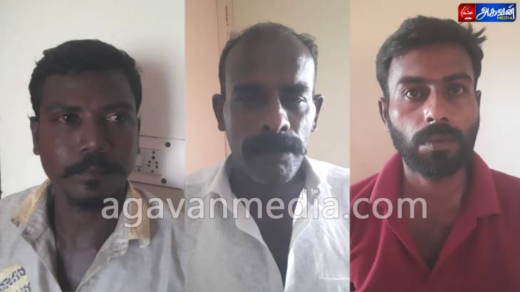 திருச்செந்தூரில் ஆடுதிருட்டில் ஈடுபட்ட 3பேர் கைது!