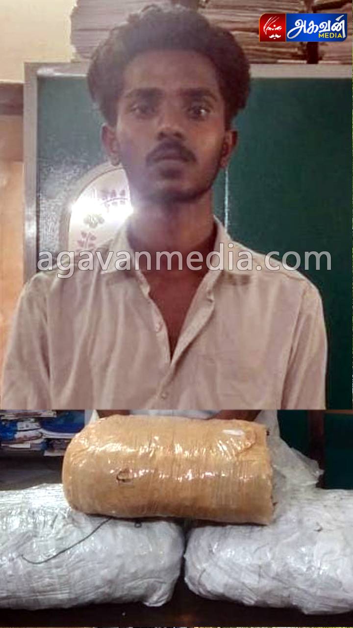 கஞ்சா விற்பனையில் ஈடுபட்ட வரை மதுவிலக்கு போலீசார் கைது செய்தனர்.