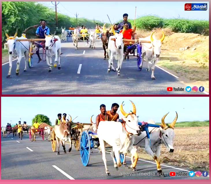 இரட்டை மாட்டுவண்டி எல்கை பந்தயம்-சீறிப்பாய்ந்த 60 ஜோடி காளைகள்!