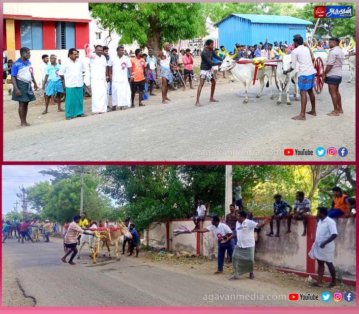 மாபெரும் மாட்டு வண்டி பந்தயம்: சீறிப்பாய்ந்த காளைகள்!