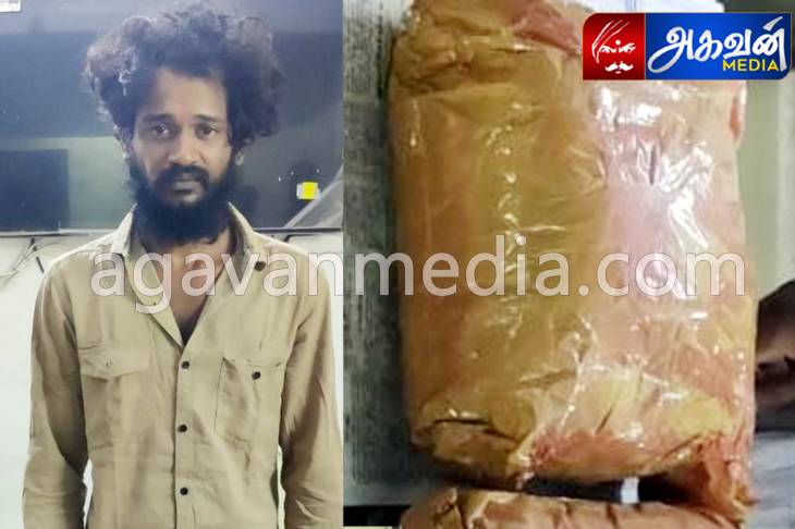 கஞ்சா விற்பனையில் ஈடுபட்டவர் கைது.