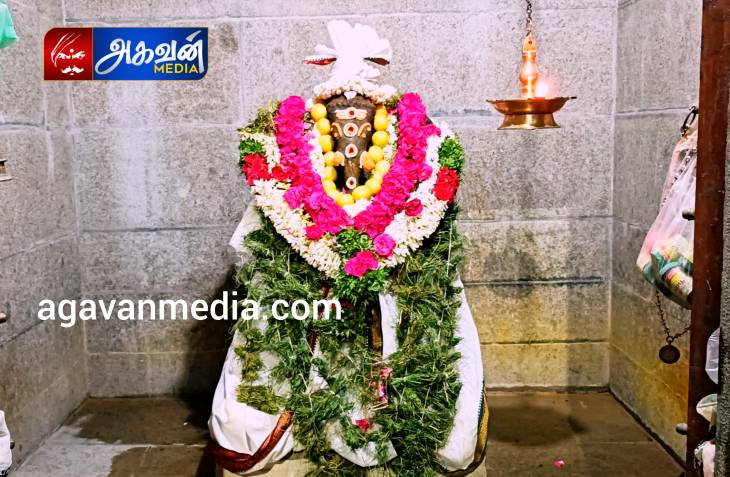 சங்கடஹரா சதுர்த்தி முன்னிட்டு விளாத்திகுளத்தில்,"ஸ்ரீ கன்னிமூல கணபதிக்கு" 16 வகையான சிறப்பு அபிஷேகங்கள் நடைபெற்றது!

