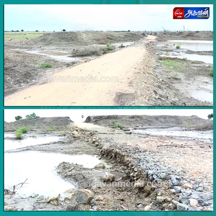கண்மாய்க்குள்ளே போடப்பட்ட சாலை ரூ.32 லட்சத்தை வீணடித்த அதிகாரிகள் ; தரைப்பாலம், மேம்பாலம் அமைக்காவிடில் விவசாய நிலங்கள் நாசமாகிவிடும் என விவசாயிகள் வேதனை!




