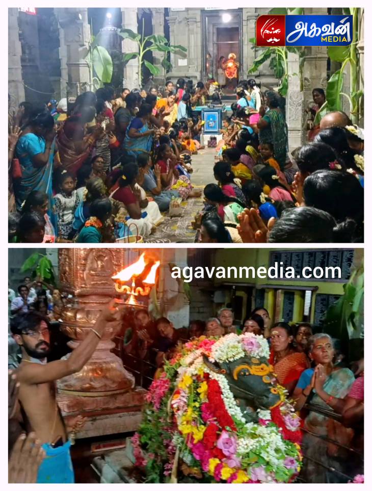 விளாத்திகுளம் மீனாட்சி சுந்தரேஸ்வரர் ஆலயத்தில் விமர்சையாக நடைபெற்ற "சோமவாரப் பிரதோஷ வழிபாடு" 