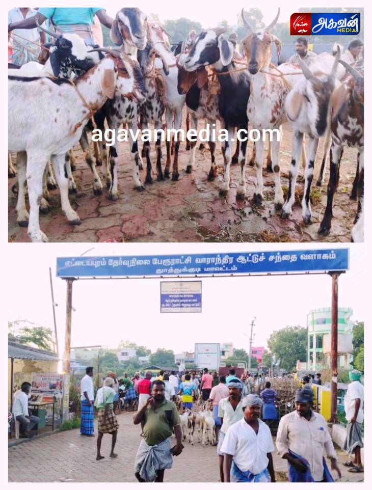 ரூ.7 கோடிக்கு ஆடுகள் விற்பனை!

