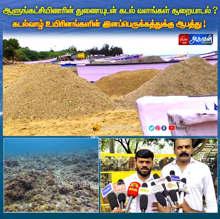 ஆளுங்கட்சியிணரின் துணையுடன் கடல் வளங்கள் சூறையாடல்:கடல்வாழ் உயிரினங்களின் இனப்பெருக்கத்துக்கு ஆபத்து !