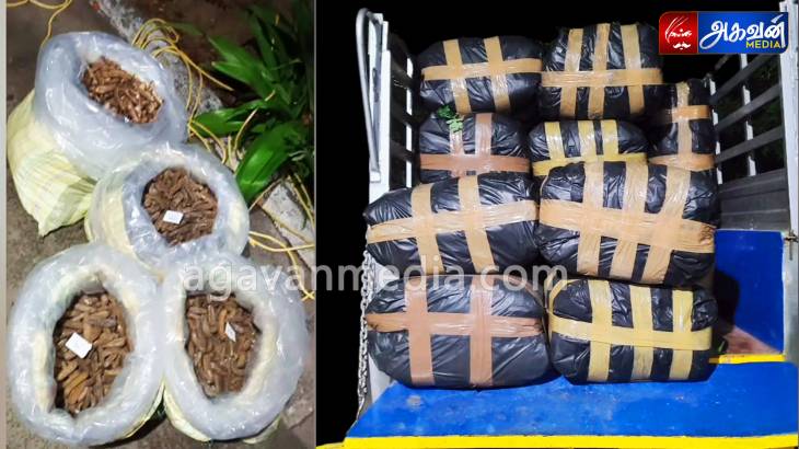 ரூ, 85 லட்சம் மதிப்பிலான கடல் அட்டை மற்றும் 1500 கிலோ பீடி இலைகள் பறிமுதல்!