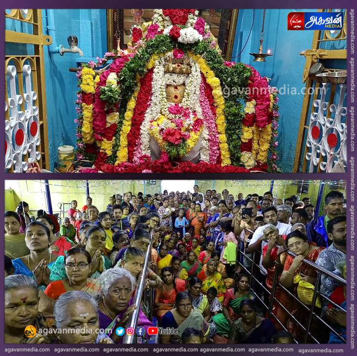 ஸ்ரீலஸ்ரீ சுப்பையா சுவாமிகளின் 55-ம் ஆண்டு குருபூஜை சிறப்பாக நடைபெற்றது : ஏராளமான பக்தர்கள் வழிபாடு !



