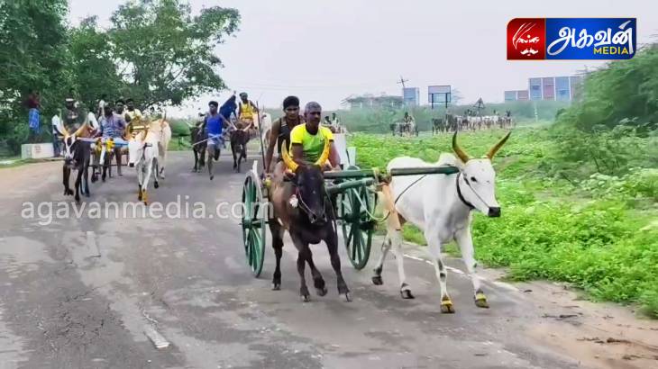 வருஷாபிஷேக விழாவை முன்னிட்டு மாபெரும் மாட்டு வண்டி எல்கை பந்தயம்!



