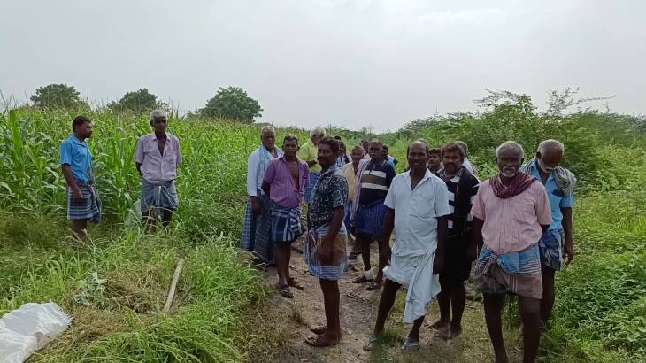 விவசாயிகளை தாக்கிய பன்றியை அடித்து கொன்ற மக்கள்: தமிழக அரசு கண்டுகொள்ளவில்லை விவசாயிகள் கொந்தளிப்பு !

