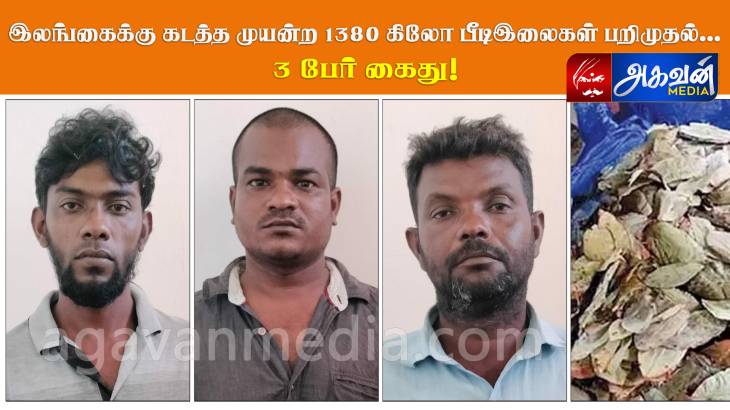 இலங்கைக்கு கடத்த முயன்ற 1380 கிலோ பீடிஇலைகள் : பறிமுதல் 3 பேர் கைது!