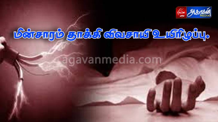மின்சாரம் தாக்கி விவசாயி உயிரிழப்பு.