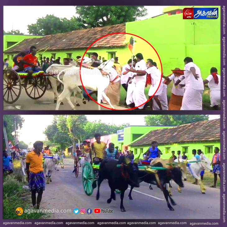ஏய் மாடு வருது ஓடு ஓடு: கமுதி அருகே பரபரப்பாக நடைபெற்ற மாட்டு வண்டி பந்தயம்!
