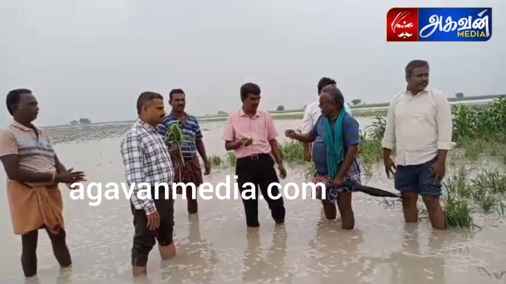 பயிர் சேதங்கள் குறித்து தோட்டக்கலை துறை இணை இயக்குனர்கள் ஆய்வு!

