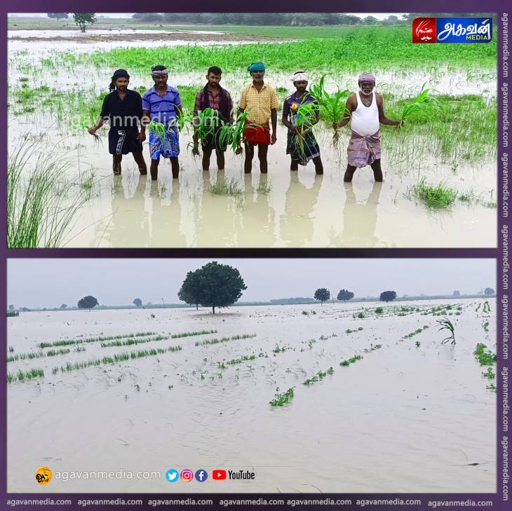மழைல விவசாயம் போச்சு.., நாங்க மருந்தைக் குடிச்சுதான் சாகனும்?