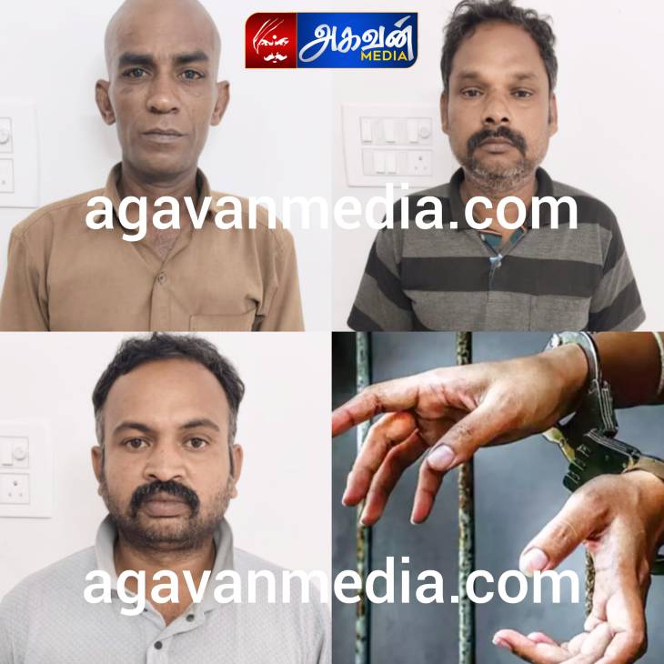 10 பவுன் தங்க நகை திருடிய 3 பேர் கைது!