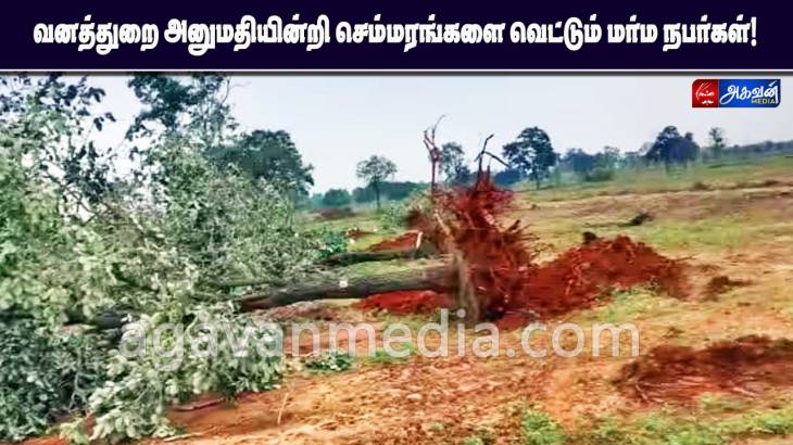 அனுமதியின்றி செம்மரங்களை வெட்டும் மர்ம நபர்கள் : அரசு கடும் எச்சரிக்கை!

