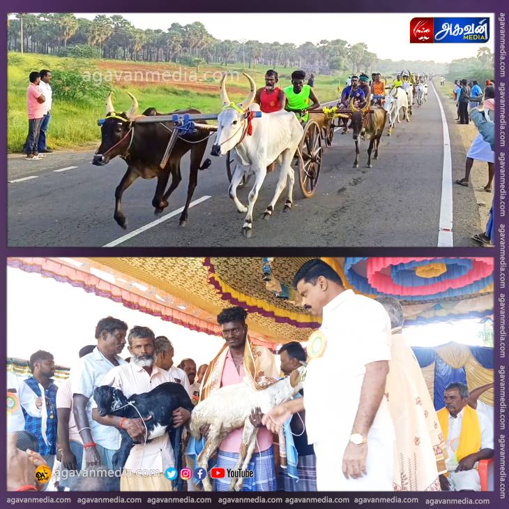 மாட்டு வண்டி பந்தயம்: ரூ.1 லட்சம் ரொக்கப்பணம், ஆட்டுகிடாய், LED டிவி என பரிசு மழையில் நனைந்த வெற்றியாளர்கள் : ஆர்வத்துடன் கண்டுகளித்த ரசிகர்கள்!
