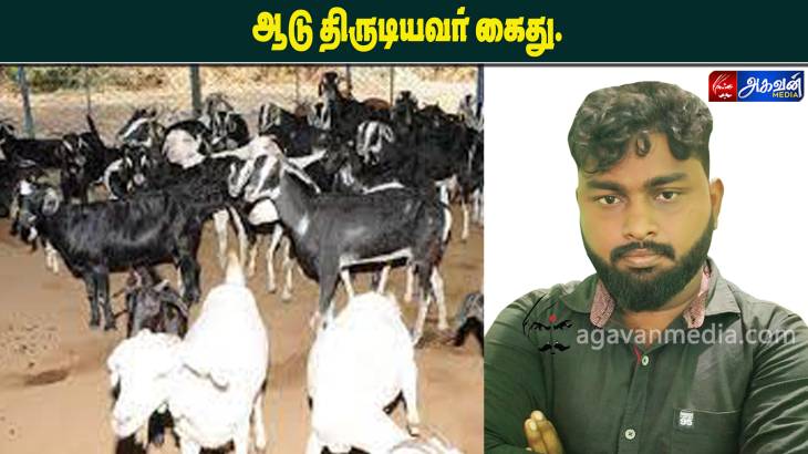 விளாத்திகுளம் அருகே ஆடு திருடியவர் கைது.