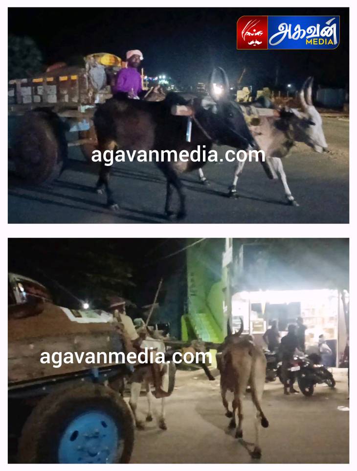 நள்ளிரவில் படுஜோராக நடைபெறும் ஆற்று மணல் கொள்ளை!