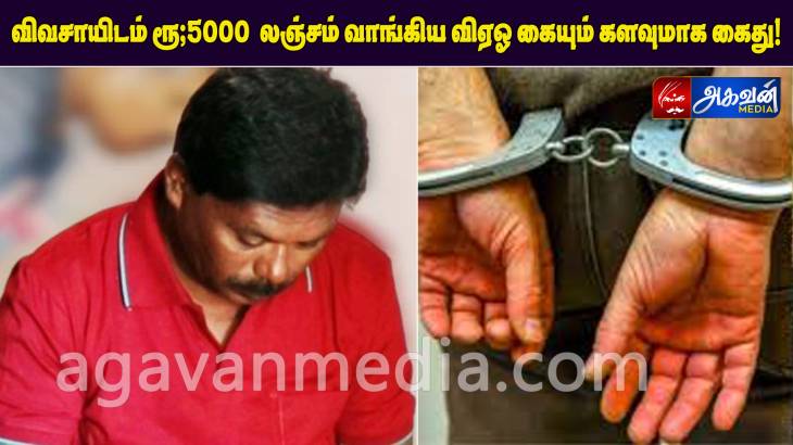 விவசாயிடம் ரூ,5000 லஞ்சம் வாங்கிய  "VAO" கையும் களவுமாக கைது!