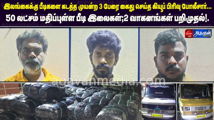 இலங்கைக்கு பீடிகளை கடத்த முயன்ற 3 பேரை கைது செய்த கியூப் பிரிவு போலீசார்: 50 லட்சம் மதிப்புள்ள பீடி இலைகள்,2 வாகனங்கள் பறிமுதல்!.

