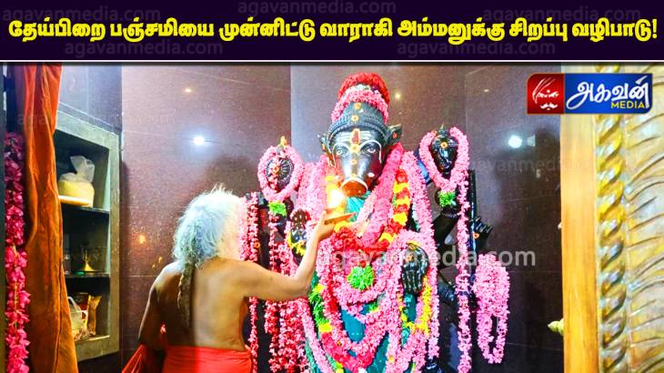 தேய்பிறை பஞ்சமியை முன்னிட்டு வாராகி அம்மனுக்கு சிறப்பு வழிபாடு!